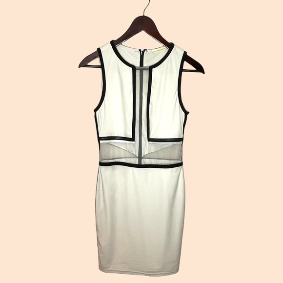 Stella & Jamie mesh panel dress - Picture 1 of 2